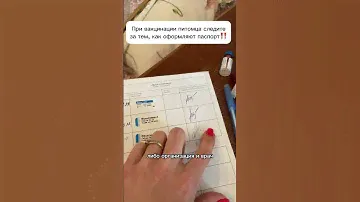 Внимательно следите за оформлением ветеринарного паспорта #животные #вакцинация