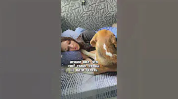 Его не обмануть🐶
