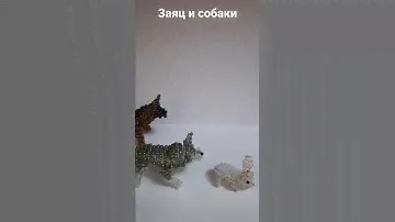 Бигль, хаски, овчарка и заяц