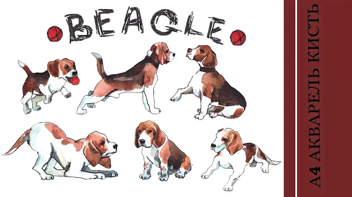 БИГЛЬ | Beagle | Рисуем биглей в разных позах
