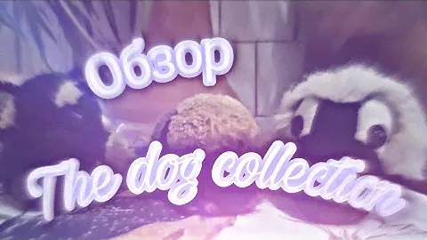 Обзор нашей коллекции The dog collection, Nekino Collection
