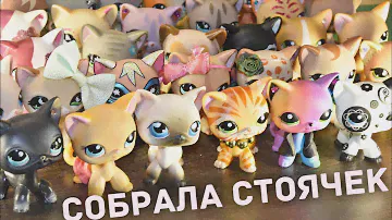 LPS: СОБРАЛА ВСЕХ СТОЯЧЕК/ Показываю коллекцию
