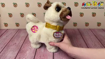 Питомец интерактивный Lanson Toys Мопс виляет хвостиком