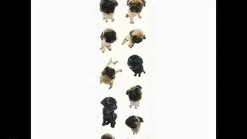 Pug  - The dog artlist collection