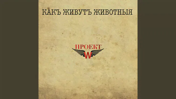 Красивые