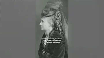 Странная мода на чучела животных