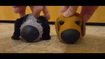 незеркальность от моих крашей | The Dog Collection | TDC |
