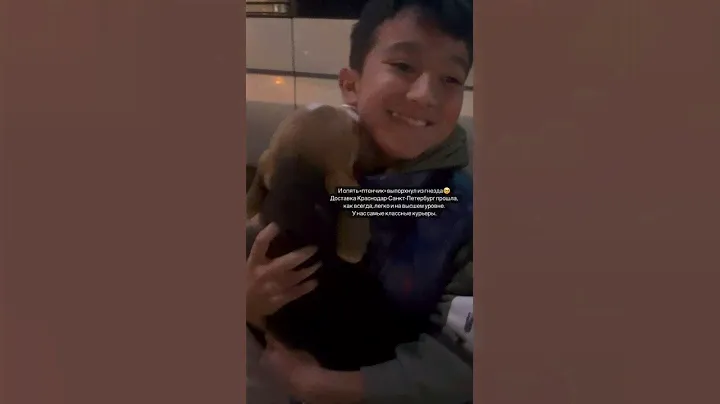 Мальчик 🐶 породы Бигль из питомника "Family Shayk" нашёл семью 🏡❤ Теперь он живёт в Петербурге.