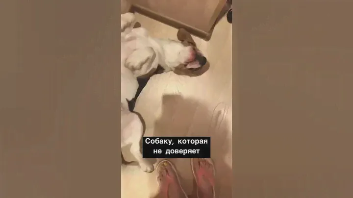 Наша история с хорошим концом💛