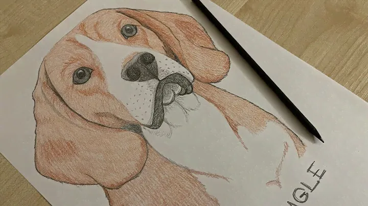 Рисуем собаку Бигля поэтапно карандашом / Beagle dog easy drawing