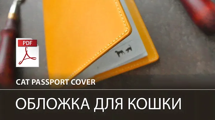 Обложка на паспорт питомца своими руками.