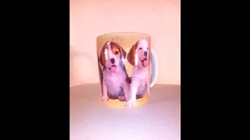 Beagle Personalised puppies coffee photo mug video
