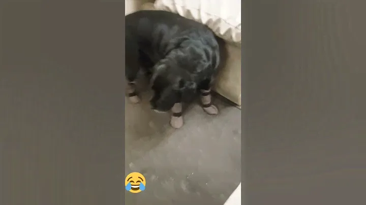 Носочки