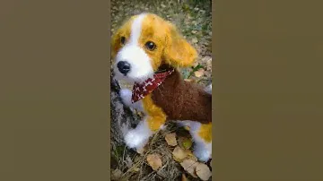 бигль вязаный