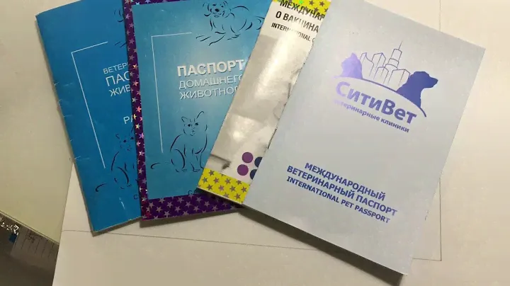 DIY декор обложки на ветпаспорт😉😜😋