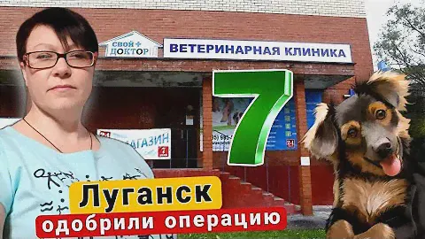 Луганск - ОДОБРИЛИ ОПЕРАЦИЮ / Отделались ЛЁГКИМ испугом / Стерилизовали 7ю СОБАЧКУ