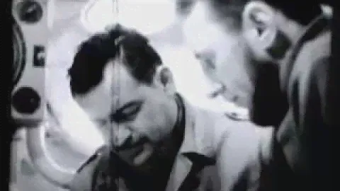 Вижу кита!