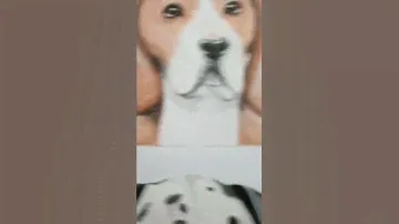 Два выполненных портрета "Бигль 🐶" и "Долматинец"