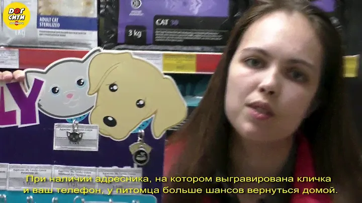 Адресники для собак и кошек