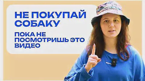 КАК ВЫБРАТЬ ЩЕНКА? Нюансы выбора породы, заводчика и щенка