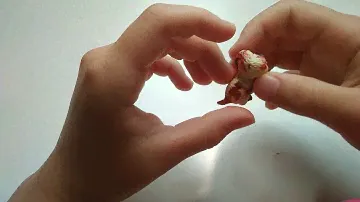 Бигль из пластилина