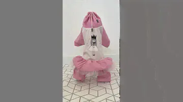 Дождевик для собак