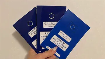 Как я сделала международный ветеринарный паспорт хорькам в Румынии