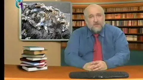 Дарвин и усоногие раки