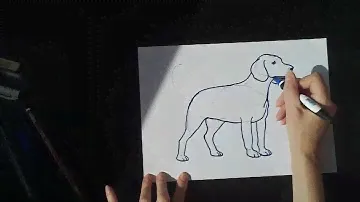 Урок рисования : Собака Бигль! How to draw a dog (beagle).