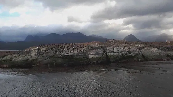 Argentina. Ushuaia. The Beagle channel. By Zasvity