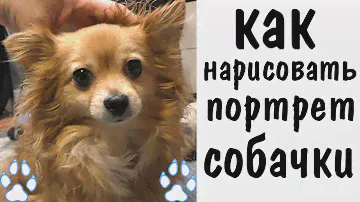 Как нарисовать собаку, портрет маслом ► как рисовать животных