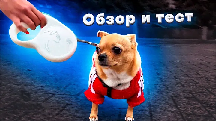 Поводок для собак от Xiaomi - Обзор и тест