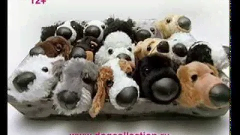 The Dog Collection!
